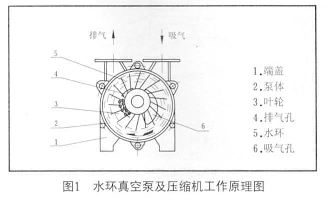 圖1 水環(huán)真空泵及壓縮機(jī)工作原理圖